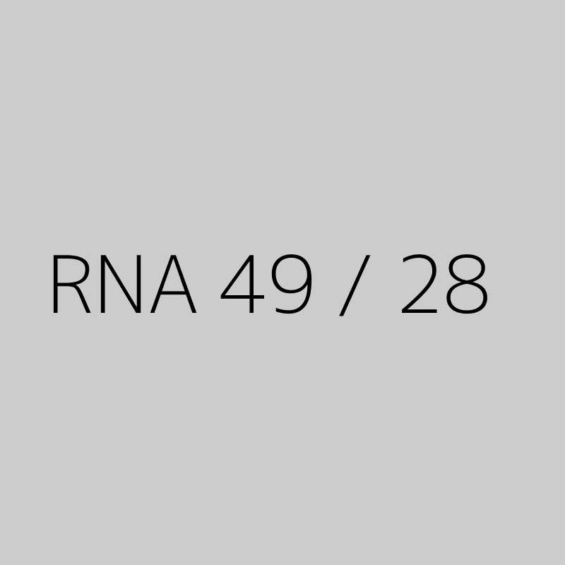 RNA 49 / 28 